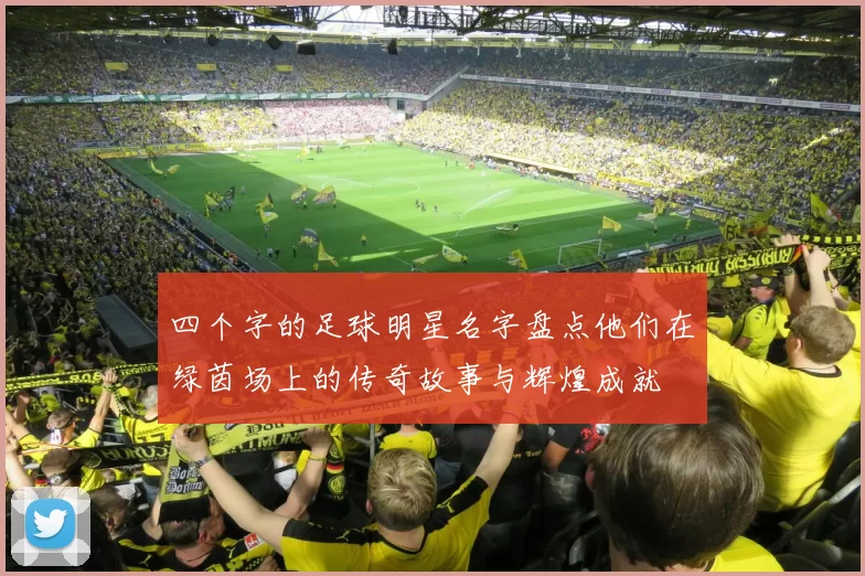 四个字的足球明星名字盘点他们在绿茵场上的传奇故事与辉煌成就