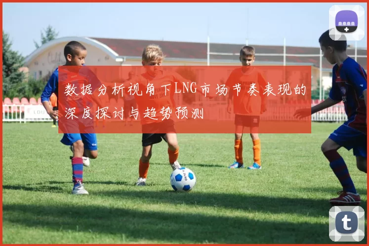 数据分析视角下LNG市场节奏表现的深度探讨与趋势预测