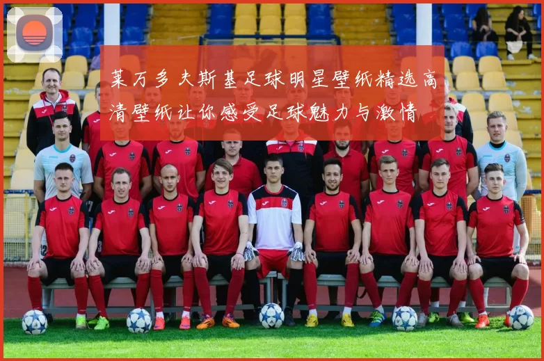 莱万多夫斯基足球明星壁纸精选高清壁纸让你感受足球魅力与激情