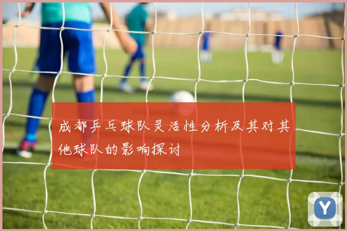 成都乒乓球队灵活性分析及其对其他球队的影响探讨