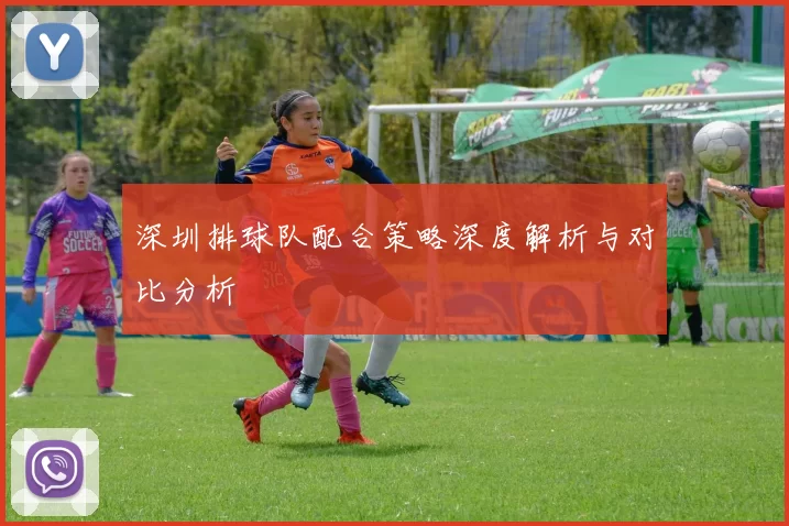 深圳排球队配合策略深度解析与对比分析