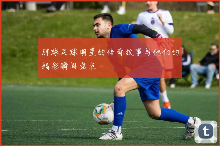 胖球足球明星的传奇故事与他们的精彩瞬间盘点