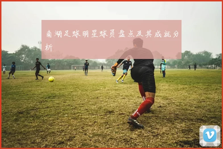 南湖足球明星球员盘点及其成就分析