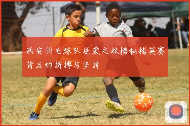 西安羽毛球队逆袭之旅揭秘精英赛背后的拼搏与坚持
