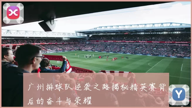 广州排球队逆袭之路揭秘精英赛背后的奋斗与荣耀