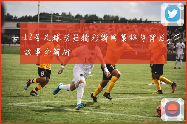 12号足球明星精彩瞬间集锦与背后故事全解析