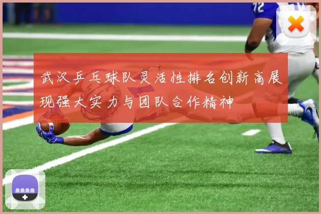武汉乒乓球队灵活性排名创新高展现强大实力与团队合作精神