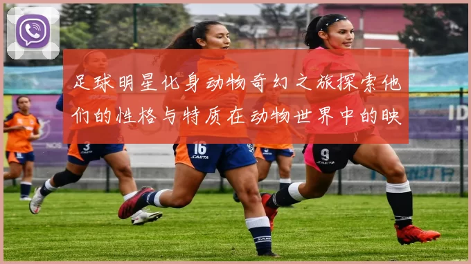 足球明星化身动物奇幻之旅探索他们的性格与特质在动物世界中的映射