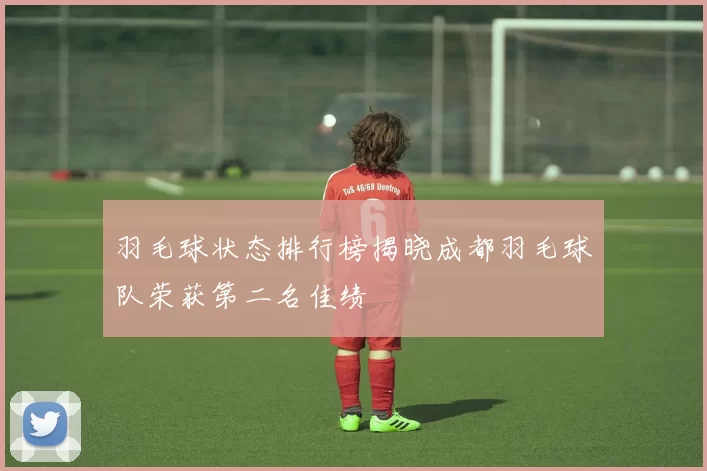 羽毛球状态排行榜揭晓成都羽毛球队荣获第二名佳绩