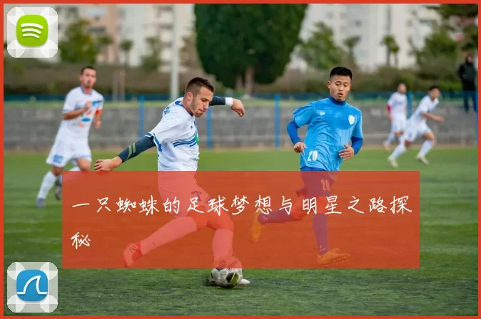 一只蜘蛛的足球梦想与明星之路探秘