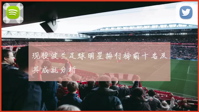 现役波兰足球明星排行榜前十名及其成就分析