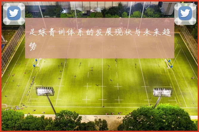 足球青训体系的发展现状与未来趋势
