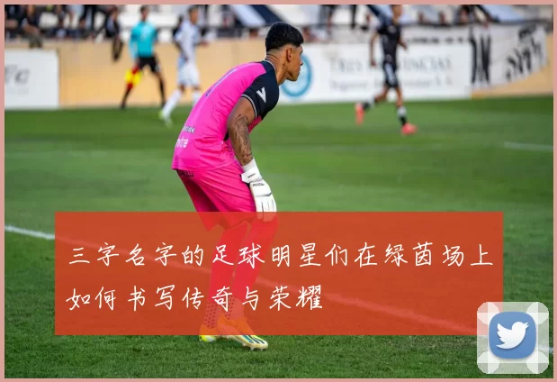三字名字的足球明星们在绿茵场上如何书写传奇与荣耀