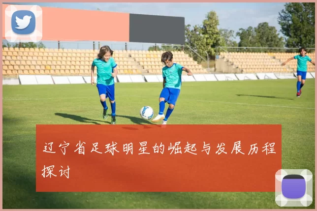 辽宁省足球明星的崛起与发展历程探讨