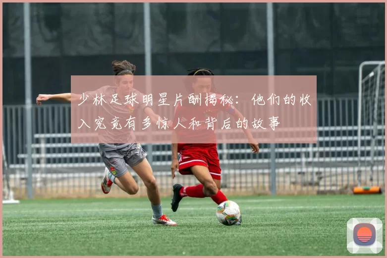 少林足球明星片酬揭秘：他们的收入究竟有多惊人和背后的故事