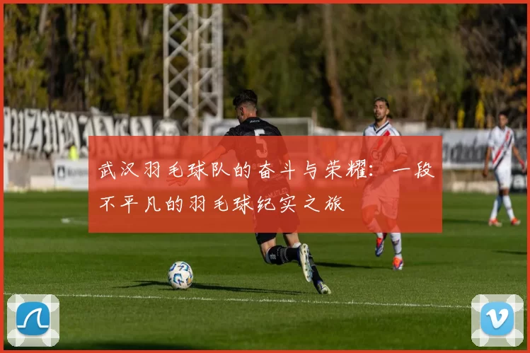 武汉羽毛球队的奋斗与荣耀：一段不平凡的羽毛球纪实之旅