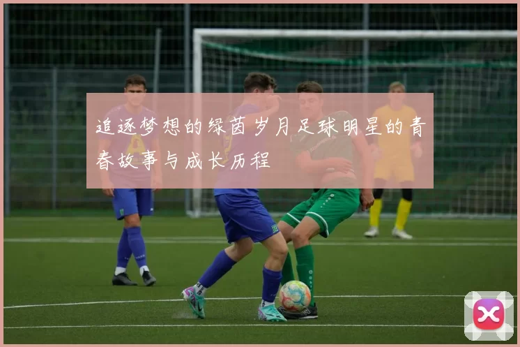 追逐梦想的绿茵岁月足球明星的青春故事与成长历程
