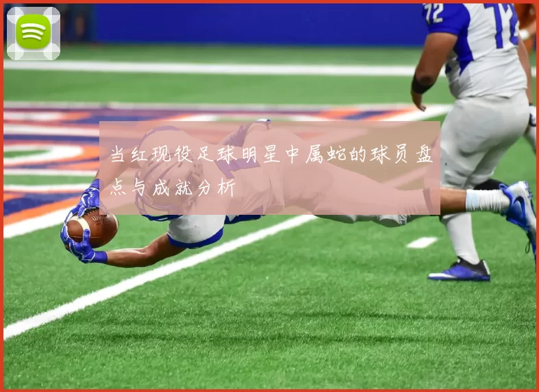 当红现役足球明星中属蛇的球员盘点与成就分析