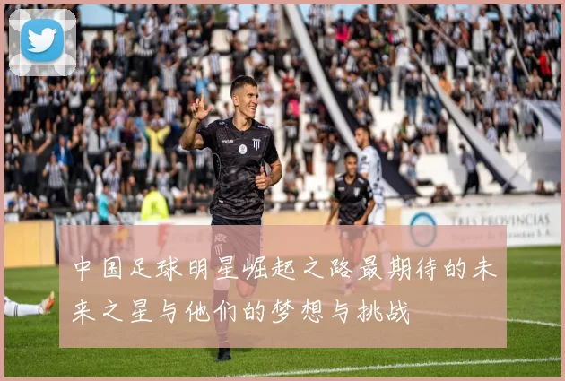 中国足球明星崛起之路最期待的未来之星与他们的梦想与挑战