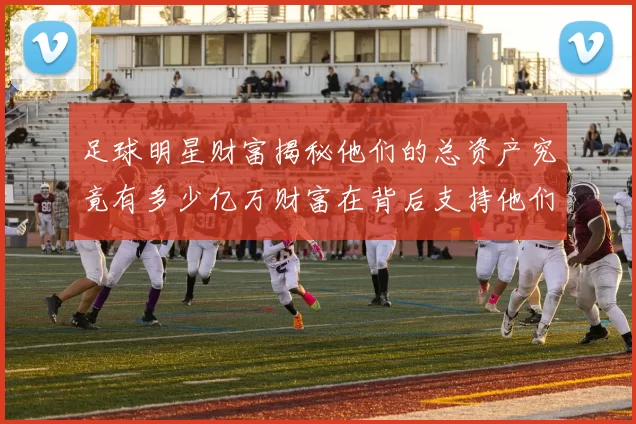 足球明星财富揭秘他们的总资产究竟有多少亿万财富在背后支持他们的辉煌生涯