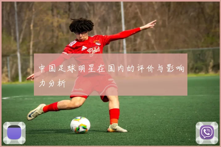 中国足球明星在国内的评价与影响力分析