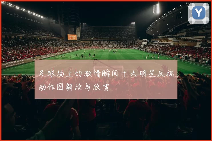 足球场上的激情瞬间十大明星庆祝动作图解读与欣赏