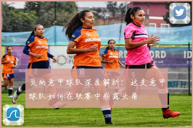 莫纳意甲球队深度解析：这支意甲球队如何在联赛中崭露头角