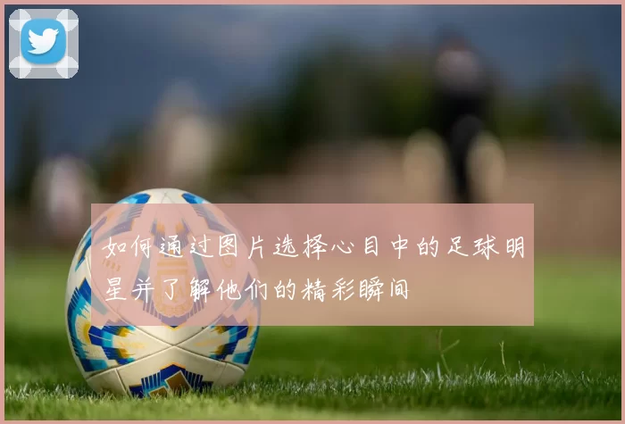 如何通过图片选择心目中的足球明星并了解他们的精彩瞬间