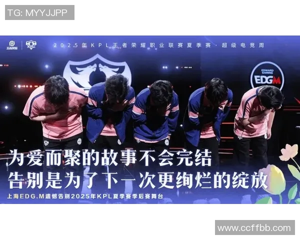 王者荣耀热议EDG战队配合问题引发玩家热烈讨论与思考