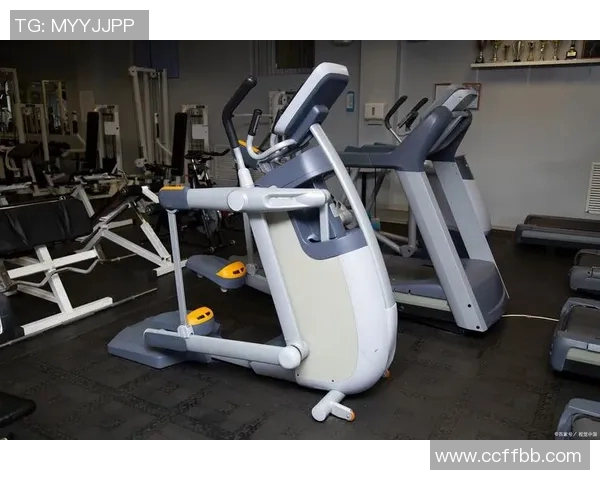 浦东健身器材市场：哪里可以买到最优质的设备？