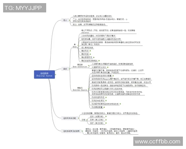 竞技运动在现代社会中的发展趋势与影响力分析:从竞技精神到全民健身的转变
