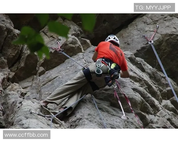 北京攀岩队的奋斗历程与成长故事全景纪实