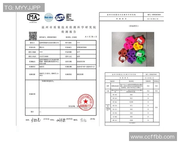 广州攀岩队状态分析与表现评估探讨及未来发展方向研究